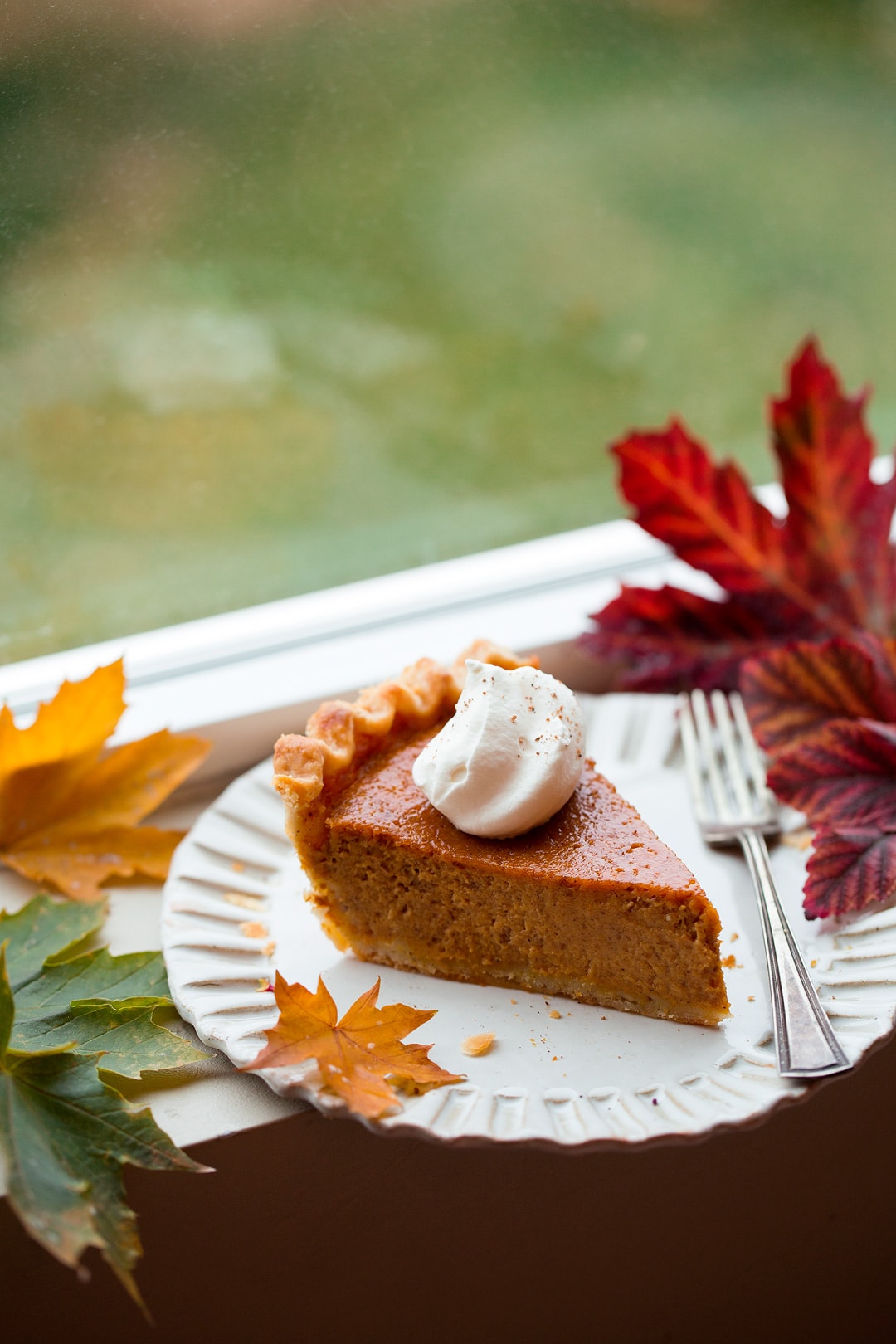 Pumpkin Pie