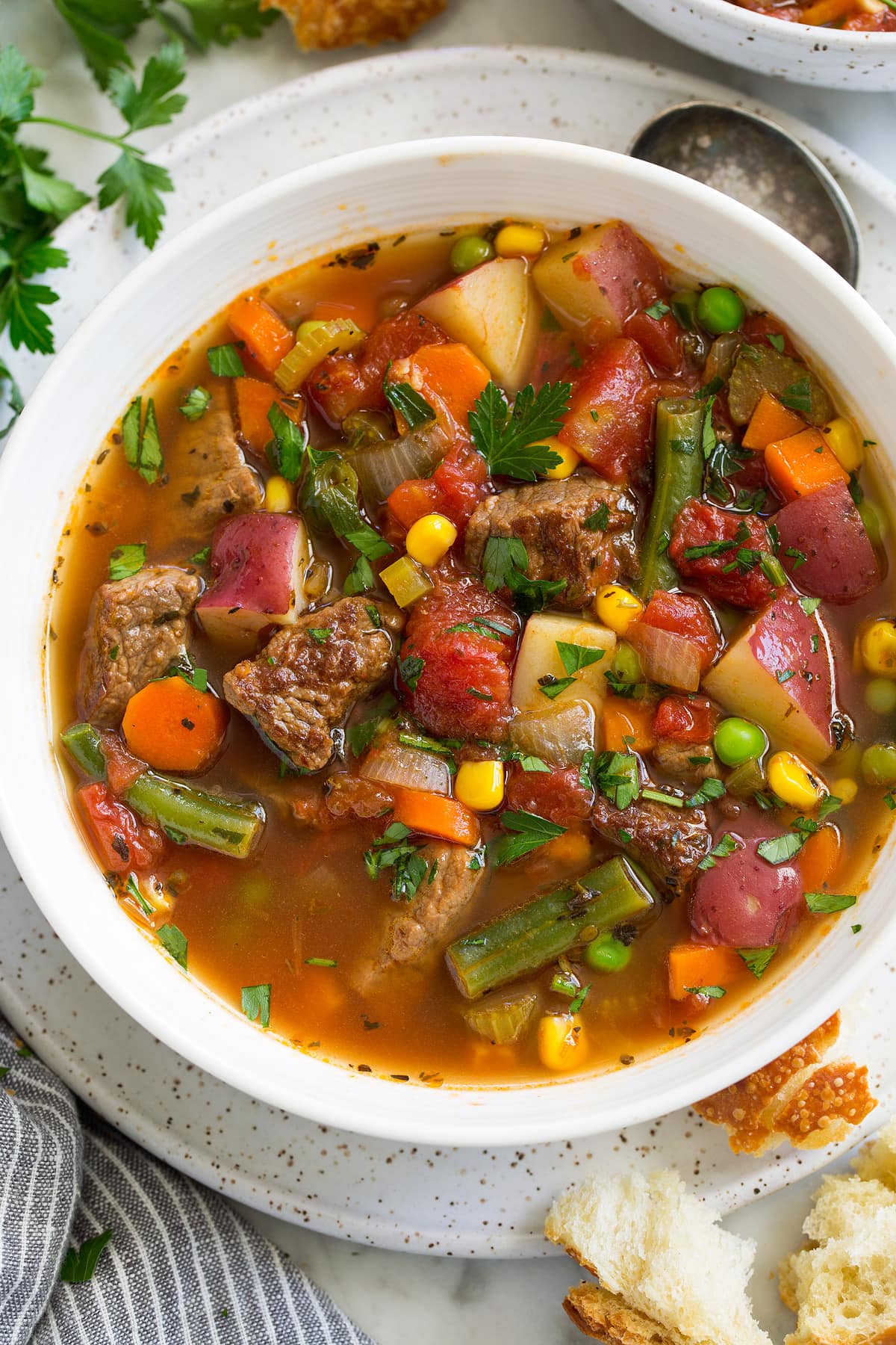 Vegetable Beef Soup 