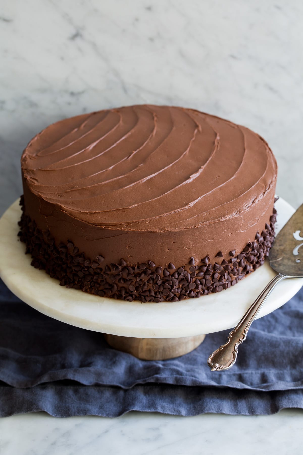 Chocolate cake covered in frosting and mini chocolate chips.