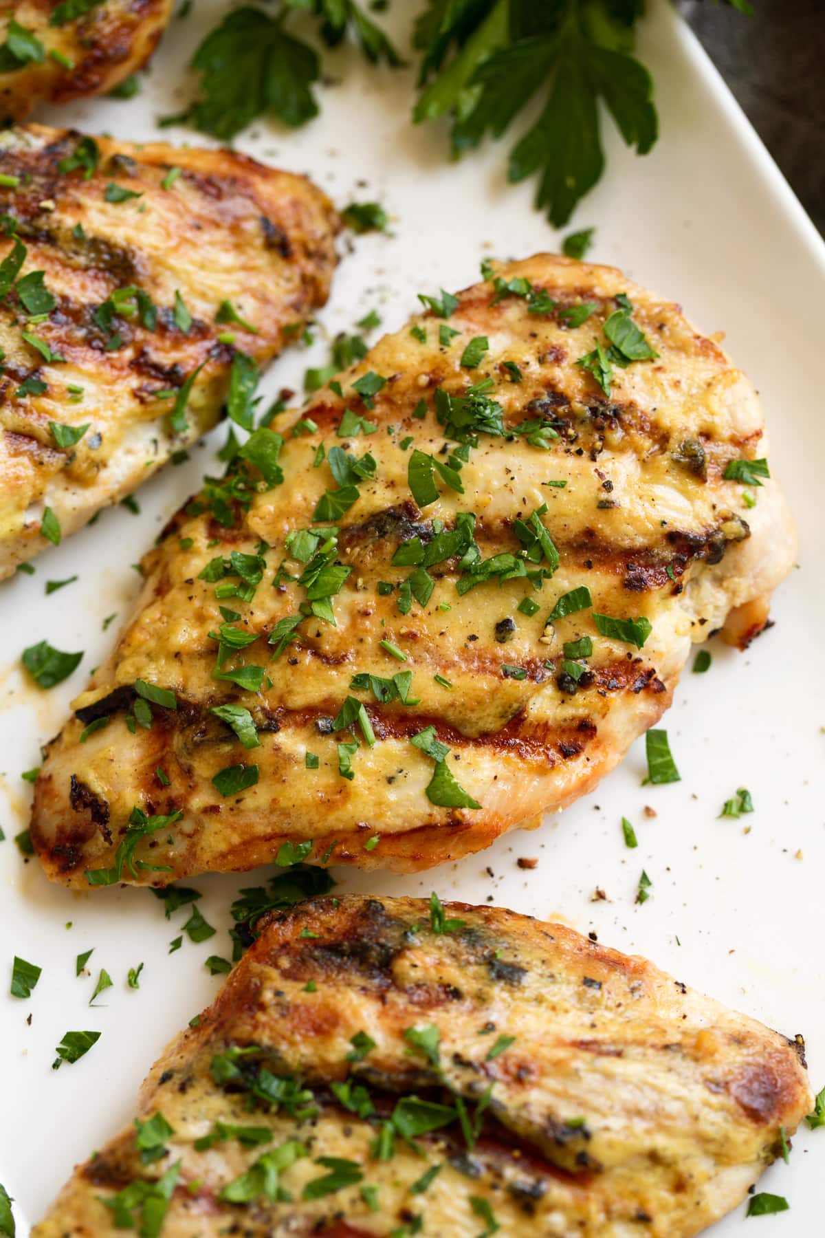 Close up image of grilled creamy garlic dijon chicken.
