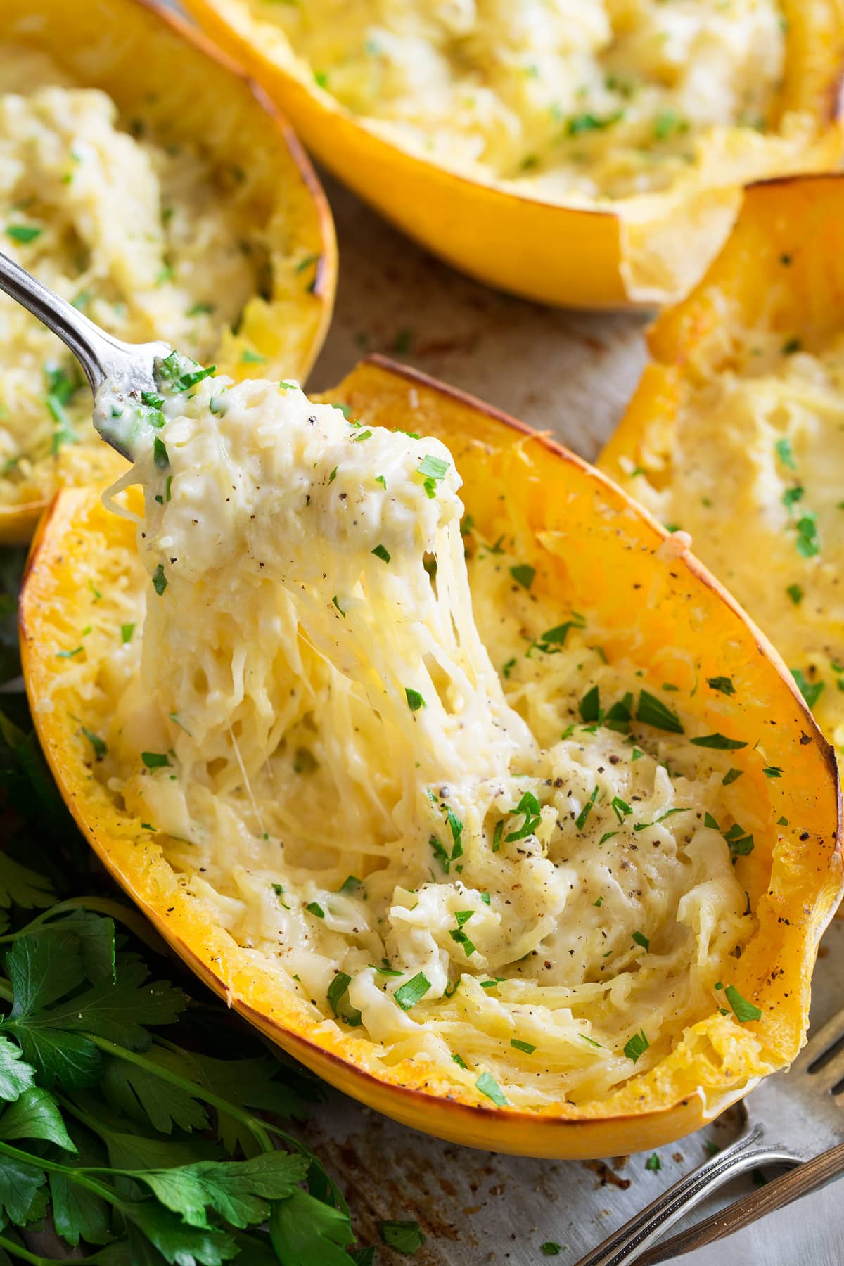 Cheesy spaghetti squash shown with a fork removing a portion.