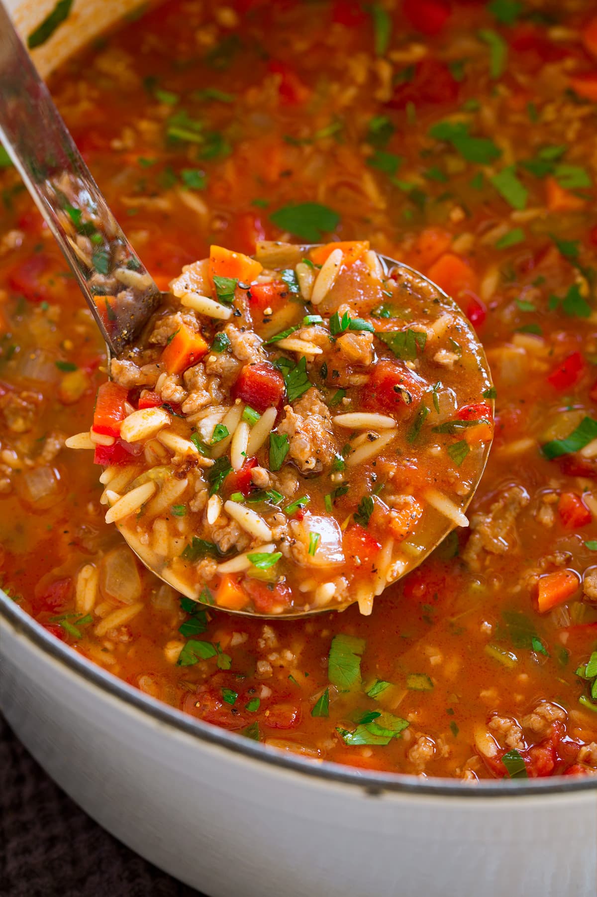 Ladle full of sausage soup.