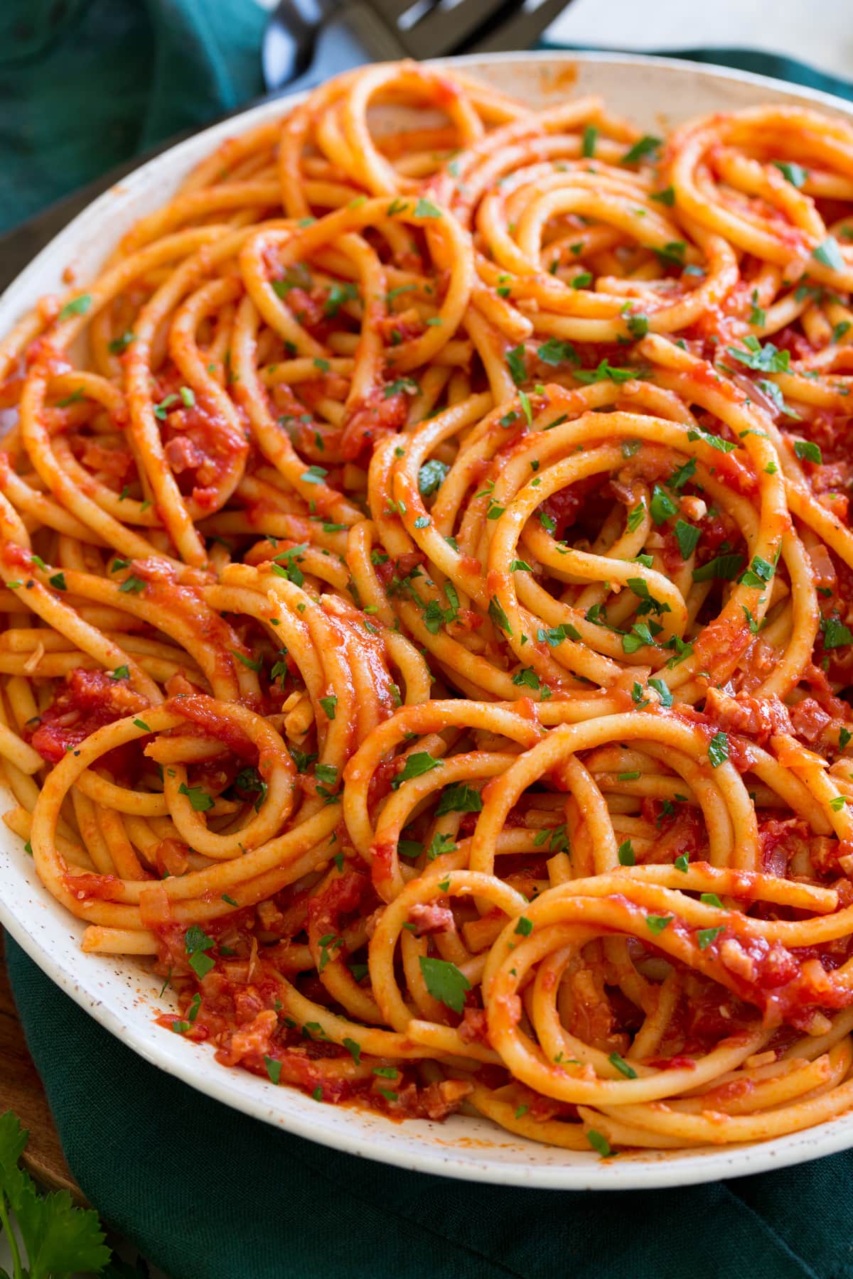 Close up photo of bucatini all amatriciana.