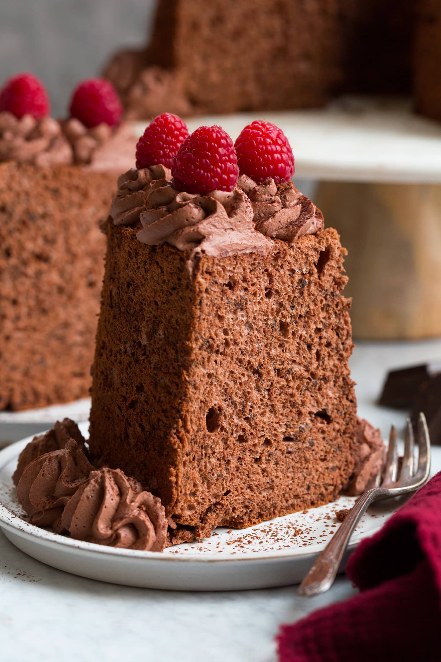 Single slice close up photo of chocolate angel food cake.
